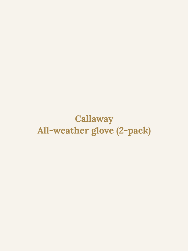 All-weather glove (2-pack)